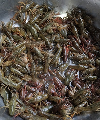 ��һ�ε���Ϻ���ջ��ķ�