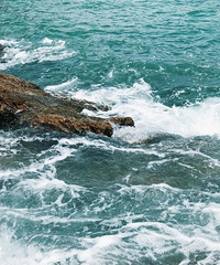 ������ɽ��Ҳ���������������㶫����˽�صĺ��ϻ�԰