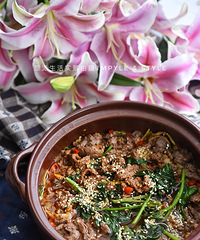 ���������ϲˣ�̫�ʺ������ˣ�