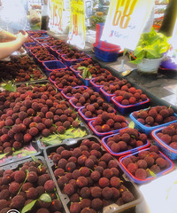 ��÷88Ԫһ��������