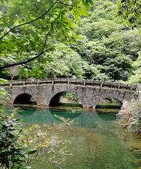 �ں���84��MM��ϲ�����Ρ�ϣ���и������Я��ͬ��