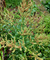 ���˻������½�ˣ�˵�������Ӻܺã�