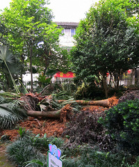 �������ˣ�С���̻���Ҫ���