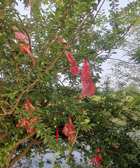 ����ӣ������裬����ܷ���Թ�����