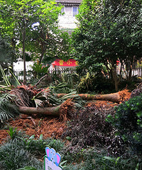 С���̻���Ҫ���