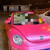 ö��ɫ�׿ǳ注��