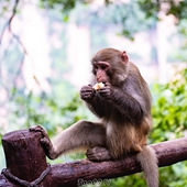 ����Դ�羰����С����