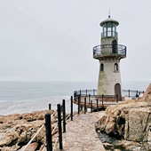 �����µ�