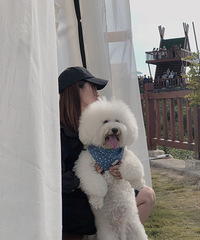 ����С�������160