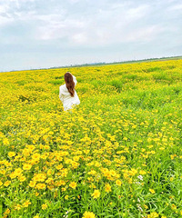 һ��6�¾ͱ��𣡳������Լ�1.5h����һ����÷����