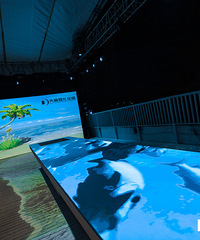 ̽�꣺�ѻ��񽻸����ǣ�����һ���󰮵Ļ���