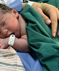 ��ĸ��ι���ռǡ�ƽ�ص��ҳ�����ţ��ţ