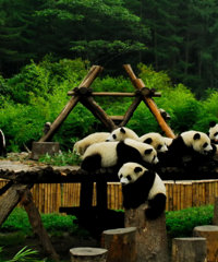 δ�����꣬��կ����������11��������̨����������Ʊ��