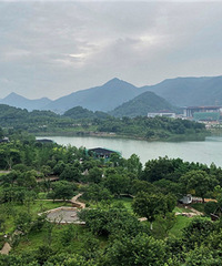 ֲ��԰����󿴺���