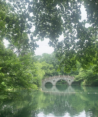 ���ݵķ羰���ƴ�����䣬��Ҫ����ȥ����