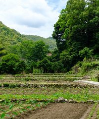 ��Ϫƺ�Ӵ����ķ��������ҽ�ˮ���Ư