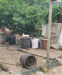 �������ʣ��ʣ��ι��Ѽ���⵰��ô����