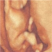 ����������3D������