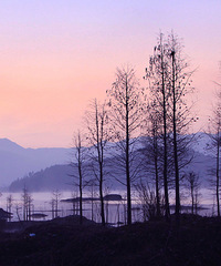 ���ſڵķ羰Ҳ������