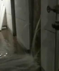 С�������ұ�����