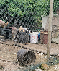 ʣ��ι�ļ�������