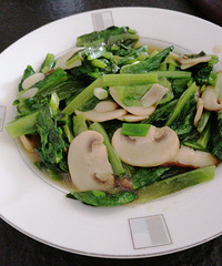 �������ʲô�����Ϲ���Ĳˣ����������޲�����