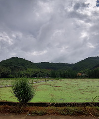 �ؽ�����ɽ��ɽ�������£�ɽ��������