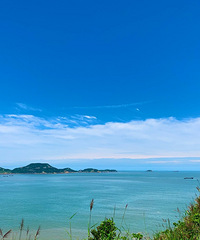 ����һ�����̵�����̲�����Ǻܺõ�����