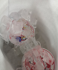 ��ѩ���ǵ�ʥ��Ҳ̫�����˰ɣ�����7��Ǯ�Ŀ���