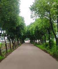 ������ģ����ｷ�������̵�