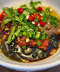 �Ź��������պ�ϣ���ֱ���������