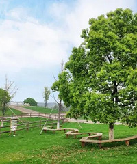 �����ղأ�10������ֵ��ȥ��С�ڱ�ҵ���е�