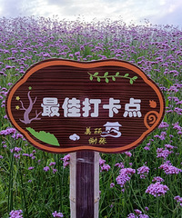 ����л�ţ����޲���Ѵ򿨵أ�