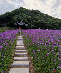 ����л�ţ����޲���Ѵ򿨵أ�