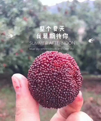 �����ɾӶ�����÷��ӭƷ��