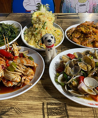 �������ʲô�������ζƫ�أ�ϲ���嵭�����룡