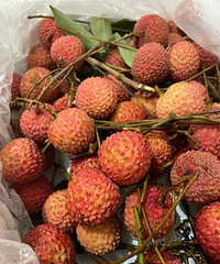 ������֦�����꣬����ʵ����֦������