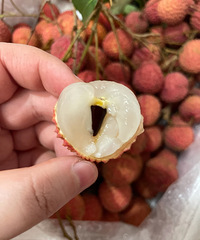 ������֦�����꣬����ʵ����֦������