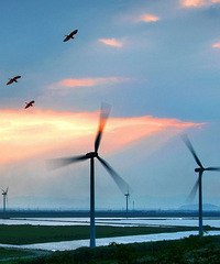 �㽭��������С�Ǳ��죡�ʺ�塢��Ұ���١���������