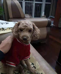 ��û������Ҫ�����ģ�̩�ϣ����ŵ㣺�е��hhh