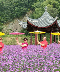 ���޲�ʢ���Ĵ�ׯ