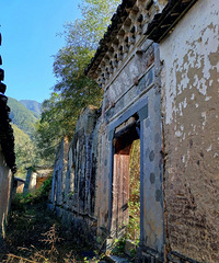 ����ɽ���귢�ָ�ԭʼ�Ŵ壬������������