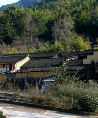 ����ɽ���귢�ָ�ԭʼ�Ŵ壬������������