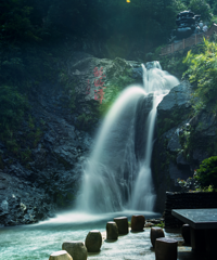 ���͹��ı���صأ������ֵ�����������ɾ�