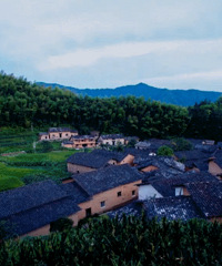 ���͹��ı���صأ������ֵ�����������ɾ�