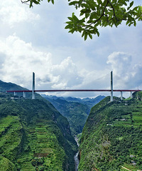 ����˽����һ�����й�������������ֻ��19��