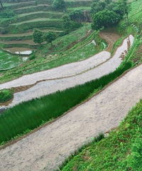 ���ҵ�����־���ӸУ��������С��������������ˣ�