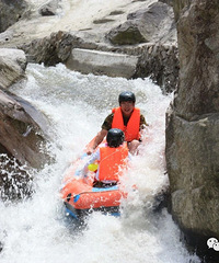 �������ȥ���ϴ�Ͽ�Ⱦ���Ư����һ��