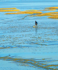 �㽭����3h�ڴ�Ľ���С�ǣ�������ĸ����޸���