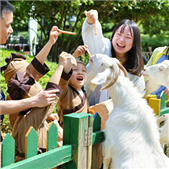 еද֢ѵѧУûô